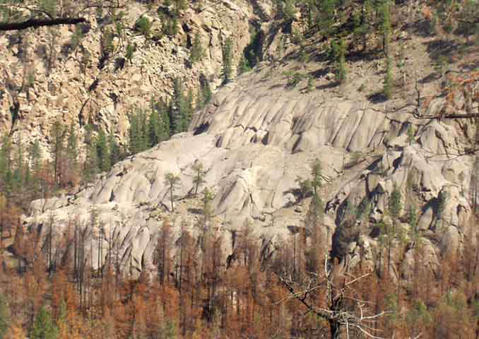P8170032