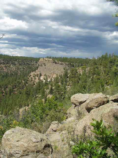 P8200328